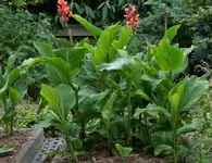 image001.webp