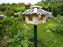 Garten Ende Juni 2.jpg