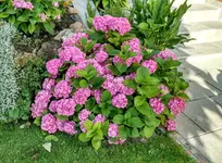 IMG_20180630_080031459_HDR.webp