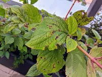 IMG_20180630_141938.webp IMG_20180630_141938.webp