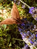 IMG-20180630-WA0002.webp
