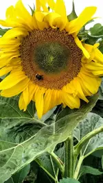 IMG_20180628_154801078.webp