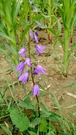IMG_20180629_164704186.webp