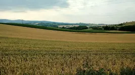 IMG_20180629_165908590.jpg