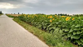 IMG_20180629_161906000_HDR.webp