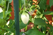 20180630_193957_resized.webp