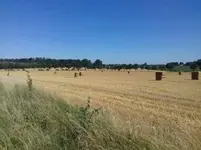 1530380719605.jpg