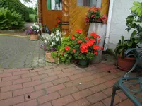 DSC03363.webp