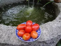 DSC03373.webp