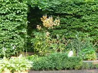 8CE072E1-671C-4C42-B76D-3FCC884106F0.webp