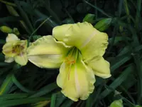 anja 2_1024x768.webp