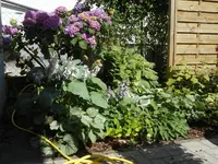 Rettungsaktion 3.webp