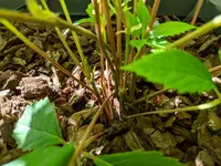 IMG_20180702_165352.webp IMG_20180702_165352.webp