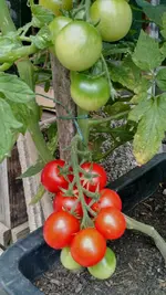 IMG_20180702_182620323_HDR.webp