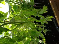 20180629_170245.webp