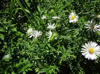 DSC03402.webp