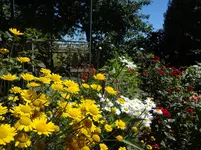DSC03390.webp