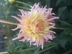 2018-07-01 My Love 2.jpg
