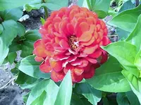 DSCI0391.webp