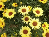 DSCI0287 (5).webp