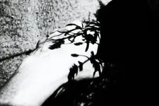 Hand1.webp