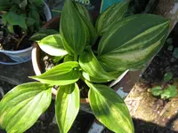 039_1024x768.webp