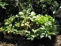 043_1024x768.webp