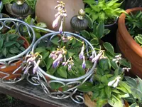 044_1024x768.JPG