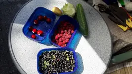 20180703_162413.webp