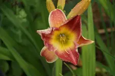 DSC06841.webp