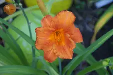 DSC06847.jpg