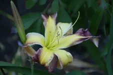 DSC06856.webp