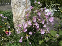 DSC03435.webp
