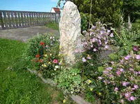 DSC03433.webp