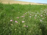 DSC03429.webp