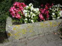 DSC03428.webp
