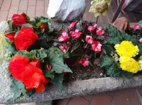 DSC03425.webp
