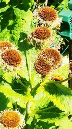 20180703_153328_resized.webp