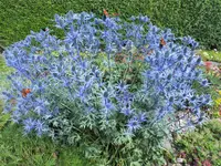 DSCF1578 (2).webp