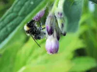 DSCF1575 (2).webp