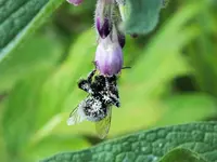 DSCF1574 (2).webp