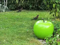 DSCF1573 (2).webp