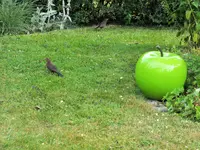 DSCF1572 (2).webp