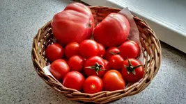 IMG_20180704_075858086_HDR.png