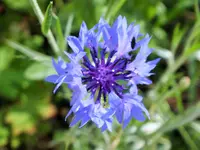 DSCF1560 (2).webp