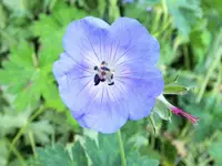 DSCF1581 (2).webp