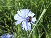 DSCF1555 (2).webp