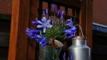 DSC09141.jpg