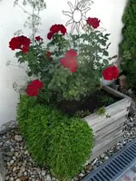 DSC04637.webp