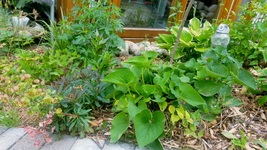 2018-06-29_11-33-39-1.webp